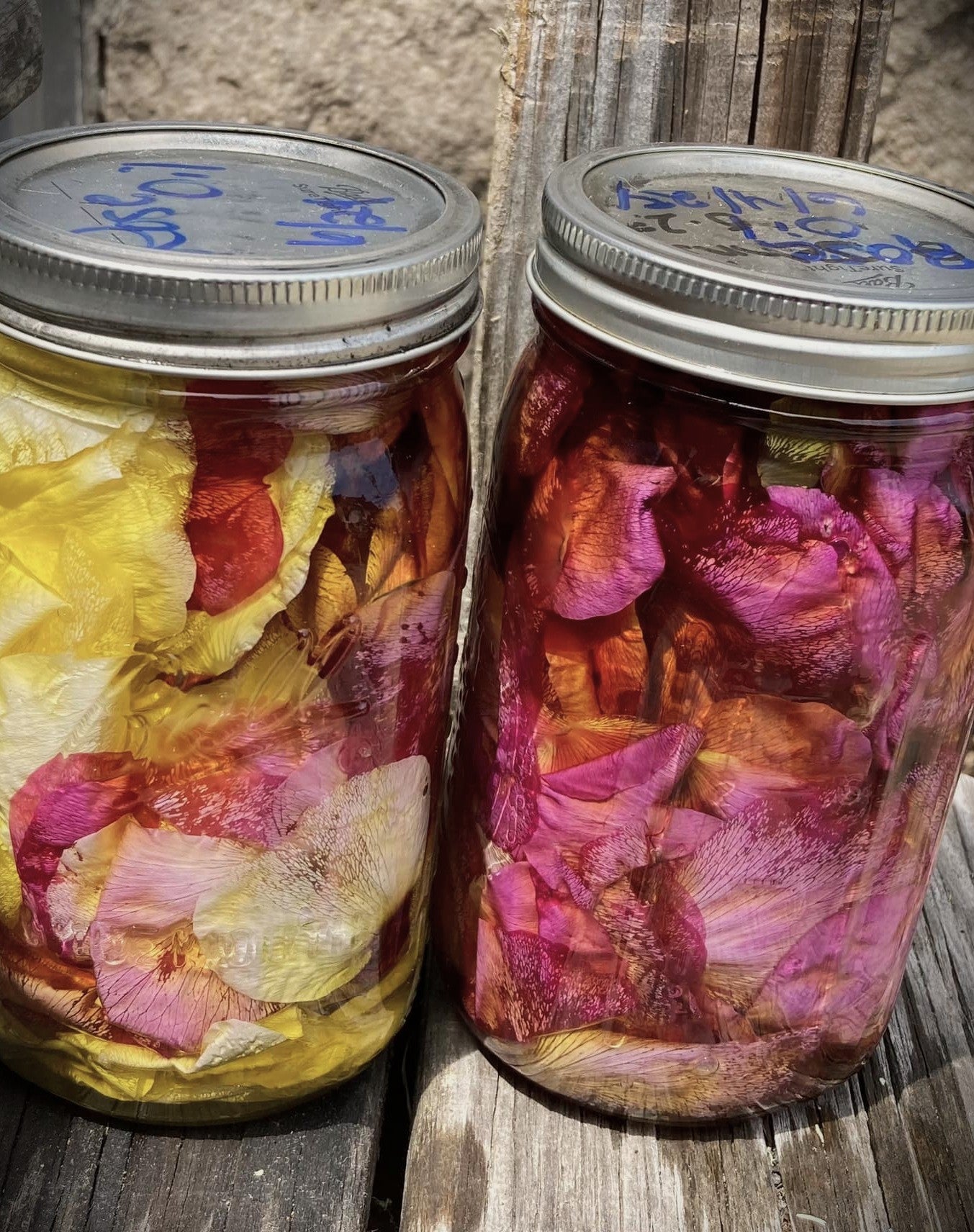 THE BRIARWOOD APOTHECARY